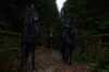 vlcsnap-2015-11-02-23h09m39s231.png