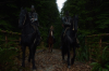 vlcsnap-2015-11-02-23h09m39s704.png