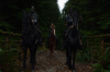 vlcsnap-2015-11-02-23h09m40s698.png