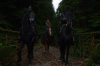 vlcsnap-2015-11-02-23h09m41s151.png