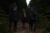 vlcsnap-2015-11-02-23h09m41s622.png