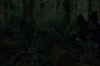 vlcsnap-2015-11-02-23h09m47s439.png