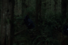 vlcsnap-2015-11-02-23h09m47s961.png