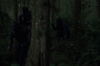 vlcsnap-2015-11-02-23h09m48s464.png