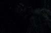 vlcsnap-2015-11-02-23h10m03s233.png
