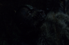 vlcsnap-2015-11-02-23h10m03s702.png