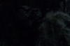 vlcsnap-2015-11-02-23h10m04s091.png