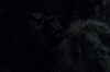 vlcsnap-2015-11-02-23h10m04s539.png