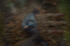 vlcsnap-2015-11-02-23h10m15s286.png