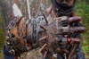 vlcsnap-2015-11-02-23h10m15s727.png