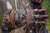 vlcsnap-2015-11-02-23h10m16s194.png