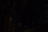 vlcsnap-2015-11-02-23h10m33s545.png
