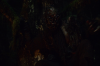 vlcsnap-2015-11-02-23h10m35s950.png