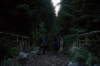 vlcsnap-2015-11-02-23h10m37s313.png