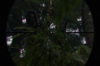 vlcsnap-2015-11-02-23h10m38s309.png