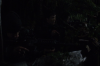 vlcsnap-2015-11-02-23h10m41s174.png