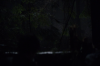 vlcsnap-2015-11-02-23h10m42s541.png