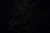 vlcsnap-2015-11-02-23h10m43s019.png