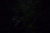 vlcsnap-2015-11-02-23h10m43s484.png
