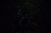 vlcsnap-2015-11-02-23h10m43s950.png