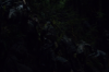 vlcsnap-2015-11-02-23h10m44s431.png