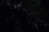 vlcsnap-2015-11-02-23h10m44s891.png