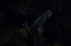 vlcsnap-2015-11-02-23h10m45s366.png