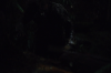 vlcsnap-2015-11-02-23h10m47s375.png