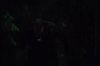 vlcsnap-2015-11-02-23h10m47s798.png