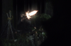 vlcsnap-2015-11-02-23h10m48s715.png