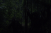 vlcsnap-2015-11-02-23h10m49s209.png