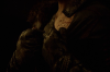 vlcsnap-2015-11-02-23h10m57s790.png