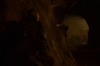 vlcsnap-2015-11-02-23h11m46s360.png