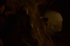 vlcsnap-2015-11-02-23h11m46s917.png
