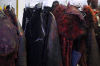 vlcsnap-2015-11-02-23h11m58s572.png