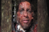 vlcsnap-2015-11-02-23h12m32s391.png
