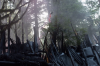 vlcsnap-2015-11-02-23h12m41s559.png