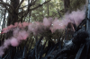 vlcsnap-2015-11-02-23h12m44s338.png