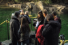 vlcsnap-2015-11-02-23h13m43s121.png