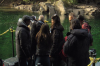 vlcsnap-2015-11-02-23h13m43s981.png