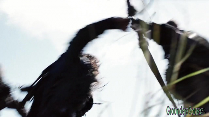 The 100 Season 3 Sneak Peek We Are Survivors iTunes Exclusive-4613

