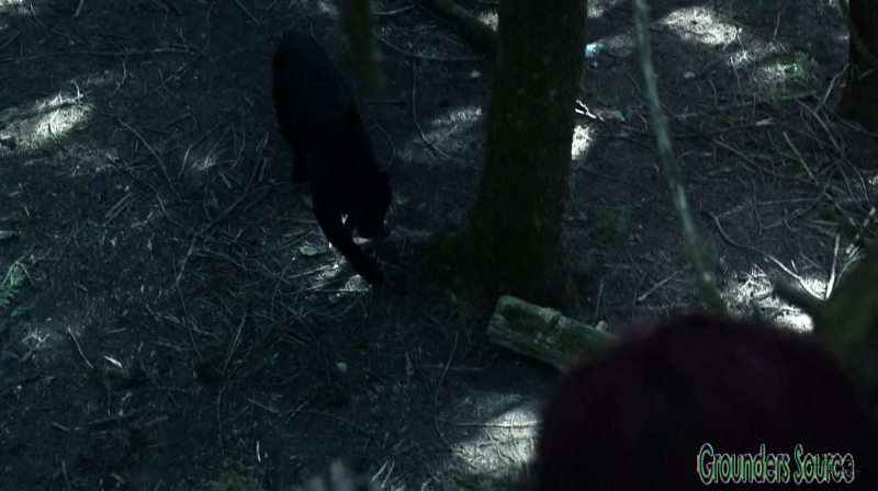 The 100 Season 3 Sneak Peek We Are Survivors iTunes Exclusive-3724
