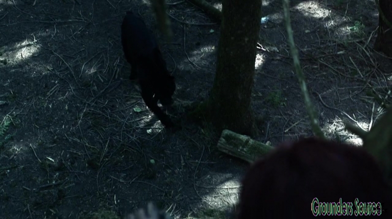 The 100 Season 3 Sneak Peek We Are Survivors iTunes Exclusive-3723
