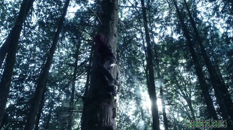 The 100 Season 3 Sneak Peek We Are Survivors iTunes Exclusive-3643
