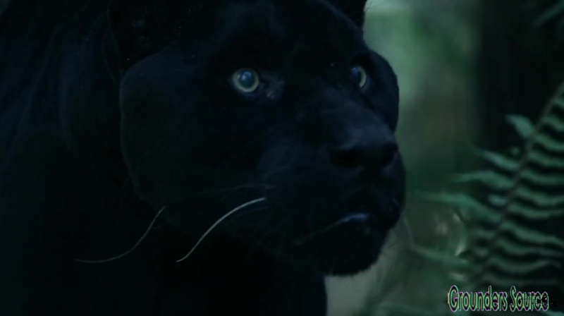 The 100 Season 3 Sneak Peek We Are Survivors iTunes Exclusive-3622
