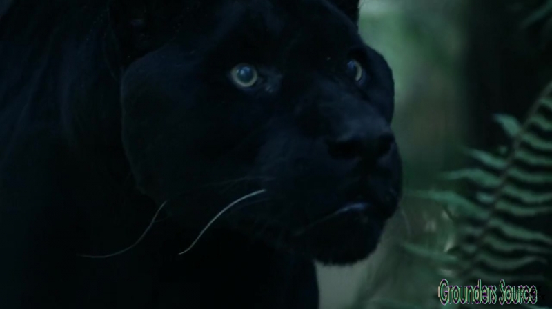 The 100 Season 3 Sneak Peek We Are Survivors iTunes Exclusive-3623
