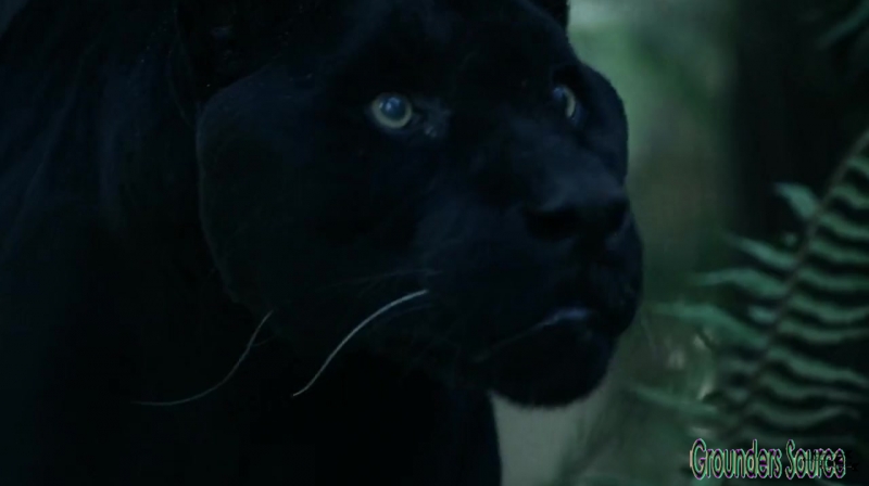 The 100 Season 3 Sneak Peek We Are Survivors iTunes Exclusive-3621
