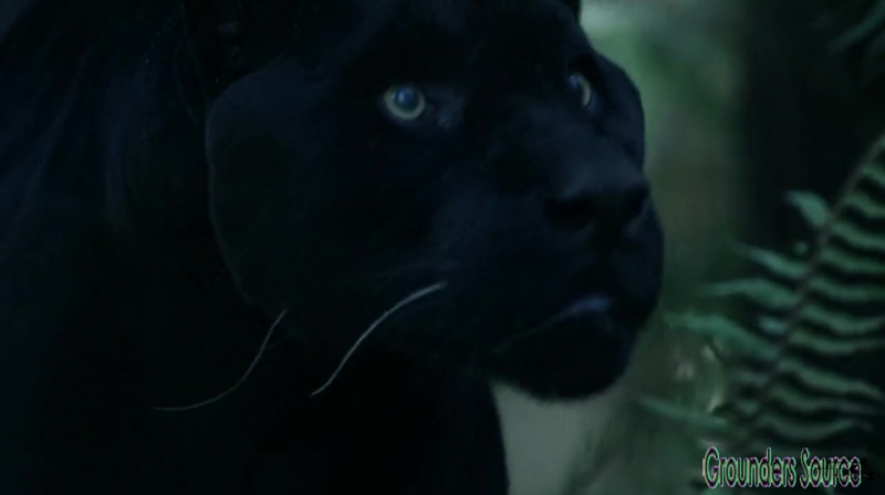 The 100 Season 3 Sneak Peek We Are Survivors iTunes Exclusive-3620

