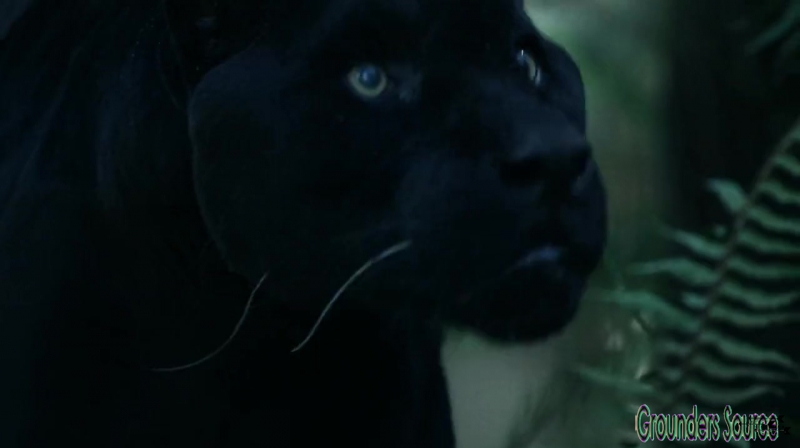 The 100 Season 3 Sneak Peek We Are Survivors iTunes Exclusive-3618
