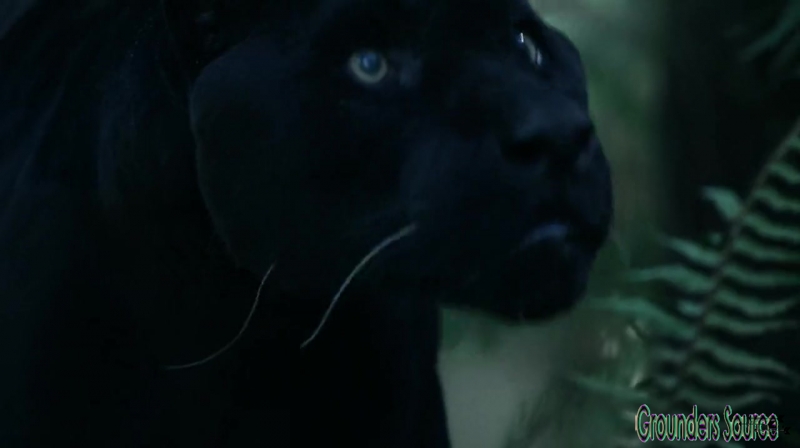 The 100 Season 3 Sneak Peek We Are Survivors iTunes Exclusive-3619
